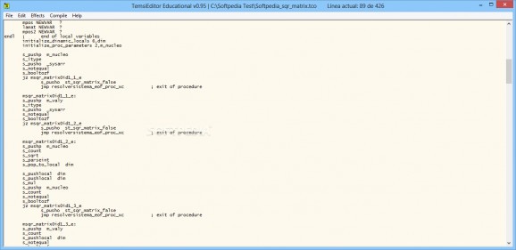 Teimsi Editor and Compiler screenshot