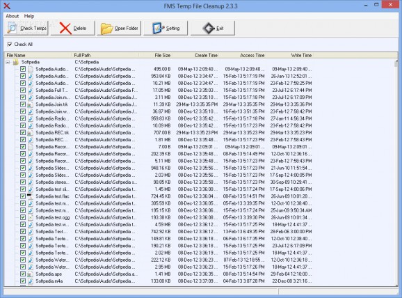 Temp File Cleanup screenshot