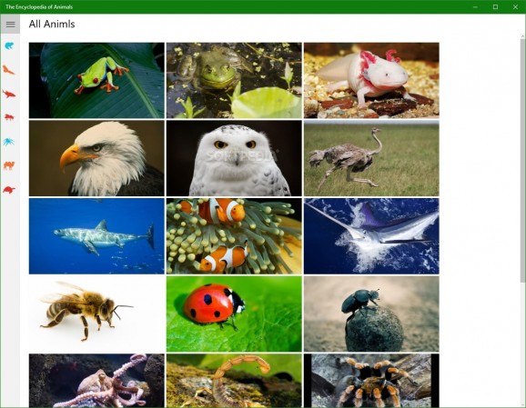 The Encyclopedia of Animals screenshot