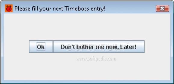 Timeboss screenshot