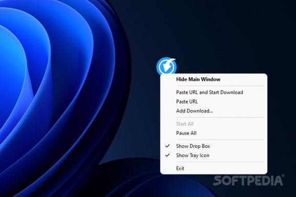 Total Video Downloader screenshot