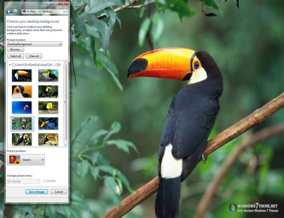 Toucan Bird Windows 7 Theme screenshot