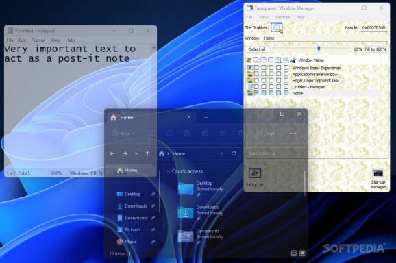 Transparent Window Manager screenshot