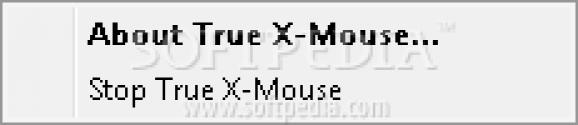True X-Mouse Gizmo screenshot