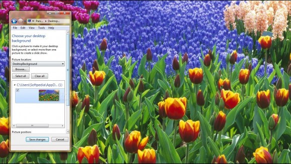 Tulip Field screenshot