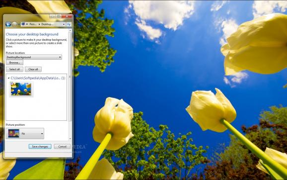 Tulip Race screenshot