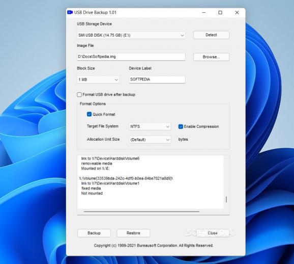 USB Drive Backup screenshot
