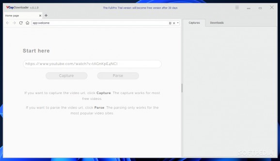 VCap Downloader screenshot