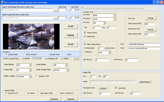 Video Edit Pro ActiveX Control screenshot