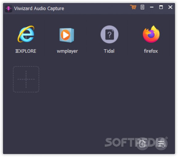 ViWizard Audio Capture screenshot