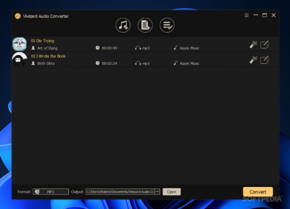 ViWizard Audio Converter screenshot