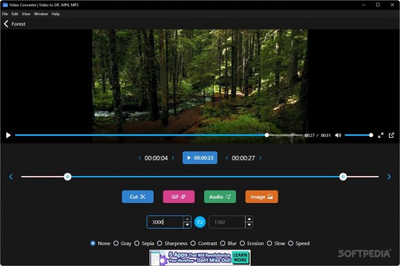 Video to GIF, MP4, MP3 screenshot