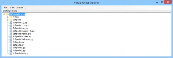 Virtual Ghost Explorer screenshot