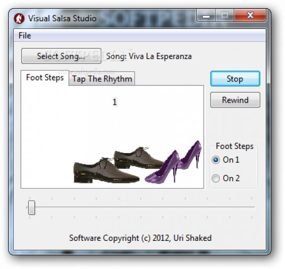 Visual Salsa Studio screenshot