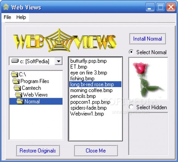 Web Views screenshot