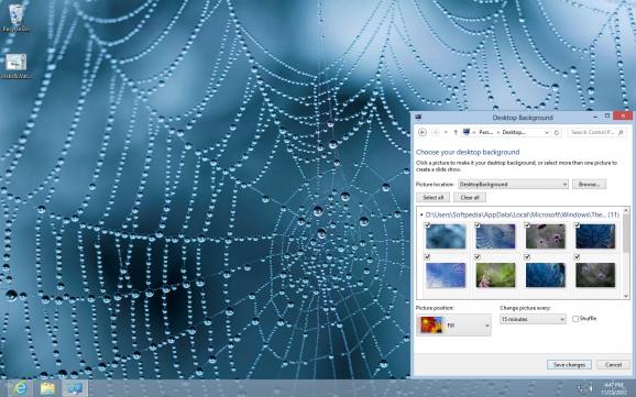 Webs & Waterdrops Theme screenshot