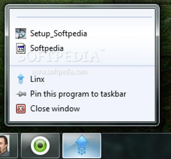 Linx screenshot