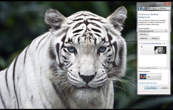 White Tiger screenshot