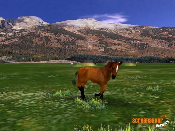 Wild Horses 3D screenshot