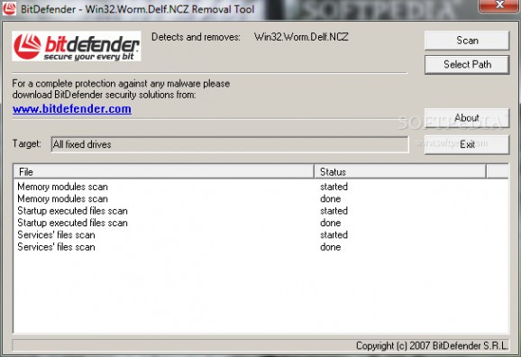 Win32.Worm.Delf.NCZ Removal Tool screenshot