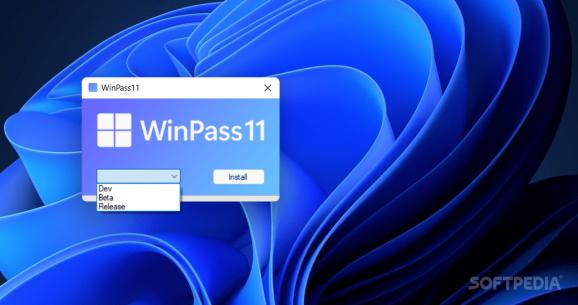 WinPass11 screenshot