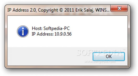 IP Address screenshot