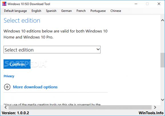 Windows 10 ISO Download Tool screenshot