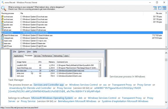 Windows Process Viewer screenshot