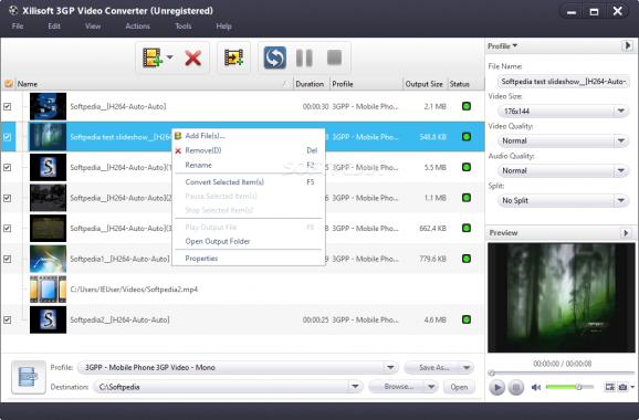Xilisoft 3GP Video Converter screenshot