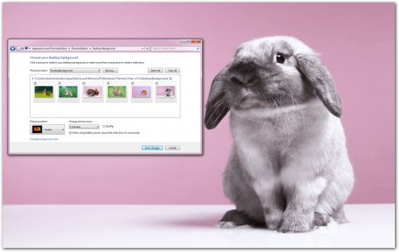 Year of the Rabbit Windows 7 Theme screenshot