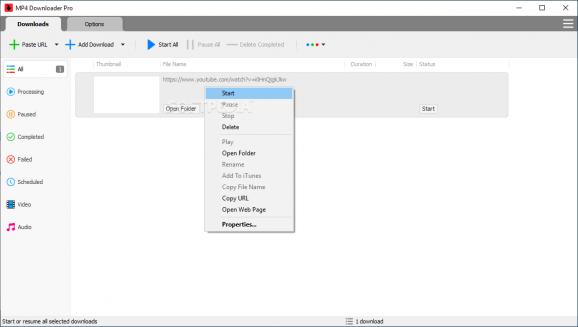 MP4 Downloader Pro screenshot