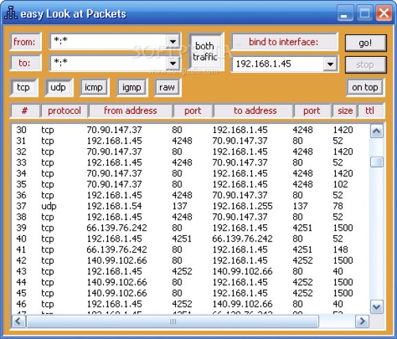 easy Look at Packets screenshot
