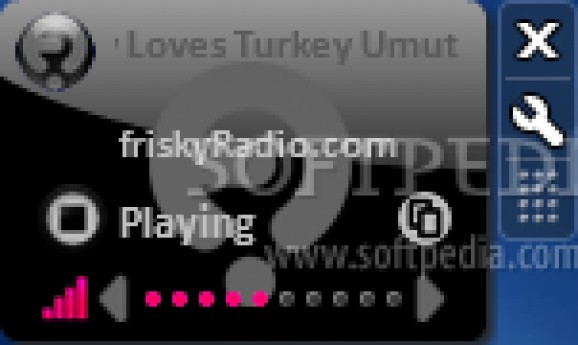 friskyRadio 2011 screenshot