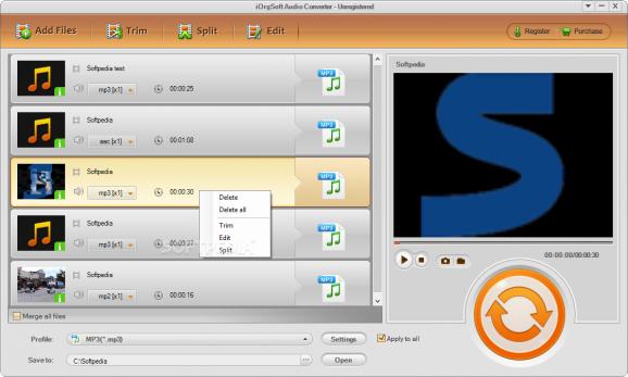 iOrgSoft Audio Converter screenshot