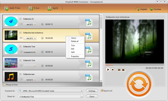 iOrgSoft WMA Converter screenshot