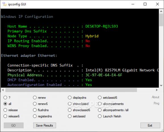 ipconfig GUI screenshot