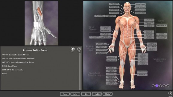 Muscle and Bone Anatomy 3D for Windows 10 screenshot