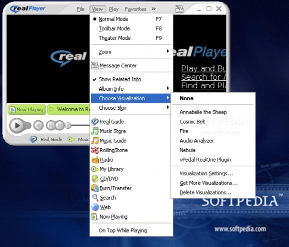 vPedal Plug-In for RealPlayer screenshot