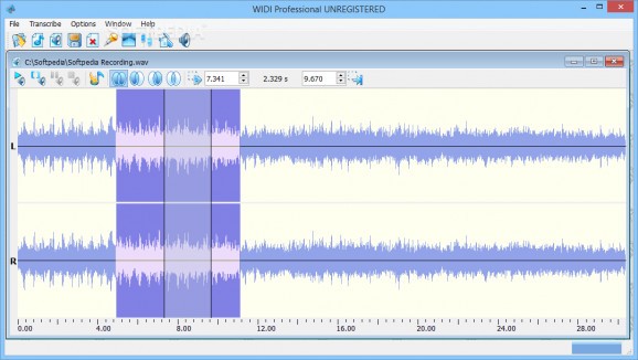 WIDI Recognition System Professional screenshot