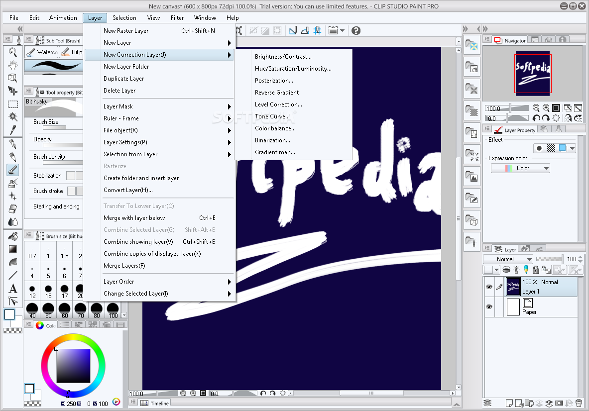 download the last version for windows Clip Studio Paint EX 2.0.6
