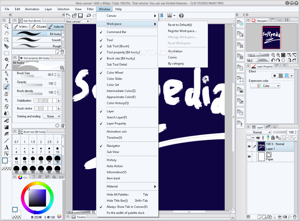 instal the last version for windows Clip Studio Paint EX 2.0.6