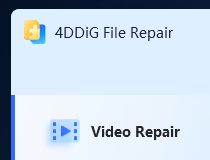 4ddig file repair