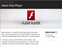 flash player 64 bits