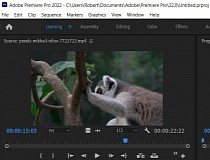 Adobe Premiere Pro 2024 download the new version