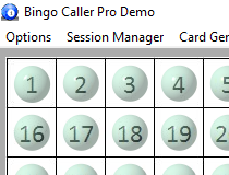 bingo number generator and caller