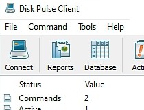 instaling Disk Pulse Ultimate 15.5.16