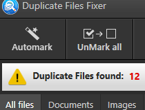 duplicate file fixer free key working