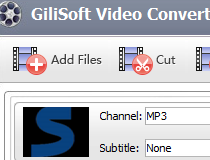 GiliSoft Video Converter 12.1 instal the new