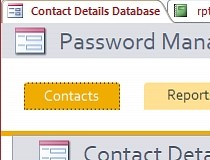 ms access password management template