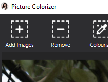 picture colorizer free